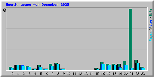 Hourly usage for December 2025
