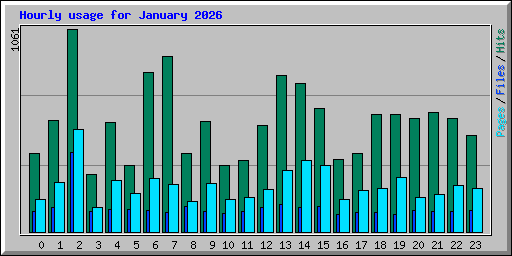 Hourly usage for January 2026